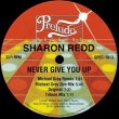 画像4: SHARON REDD / NEVER GIVE YOU UP (INCL. MICHAEL GRAY REMIX) 12" (4)