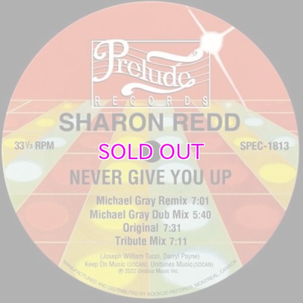 画像4: SHARON REDD / NEVER GIVE YOU UP (INCL. MICHAEL GRAY REMIX) 12" (4)