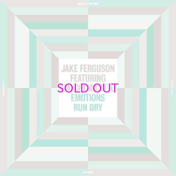 画像1: Jake Ferguson Featuring Malcom Catto – Emotions Run Dry "LP" (1)