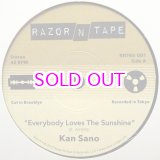 画像: KAN SANO / EVERYBODY LOVES THE SUNSHINE  7"