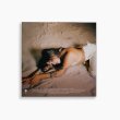 画像2: MICHI / DIRTY TALK (LP) (CREAM COLOR VINYL) "LP" (2)