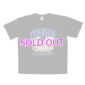 画像: EXPANSION NY / Tropical USA Tee