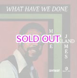 画像: MIKE JAMES KIRKLAND / WHAT HAVE WE DONE 7"