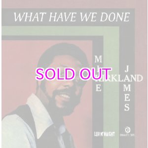 画像: MIKE JAMES KIRKLAND / WHAT HAVE WE DONE 7"