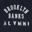 画像2: DQM BROOKLYN BANKS TEE (2)