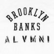 画像2: DQM BROOKLYN BANKS TEE (2)