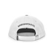 画像3: GOOD WORTH & CO FLAMINGO STRAPBACK (3)