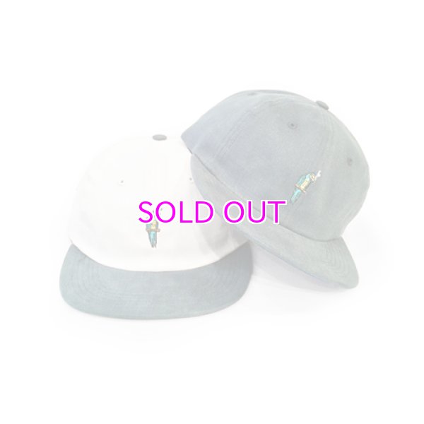 画像1: GOOD WORTH & CO PARROT STRAPBACK HAT (1)