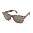 画像1: J.CREW Tortoise sunglasses (1)