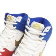 画像3: NIKE DUNK HIGH PREMIUM SB "FRENCH FLAG"  313171-674 (3)