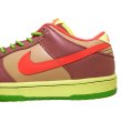 画像4: NIKE DUNK LOW PREMIUM SB ”TOXIC SEA ROBIN” 313170-261 (4)