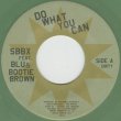 画像1: SBBX FEAT. BLU & BOOTIE BROWN / DO WHAT YOU CAN / 45" (1)