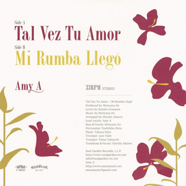 画像3: AMY A / TAL VEZ TU AMOR / MI RUMBA LLEGO / 7" (3)