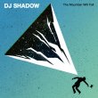 画像1: DJ SHADOW THE MOUNTAIN WILL FALL 2LP (1)