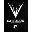 画像3: DJ SHADOW THE MOUNTAIN WILL FALL 2LP (3)