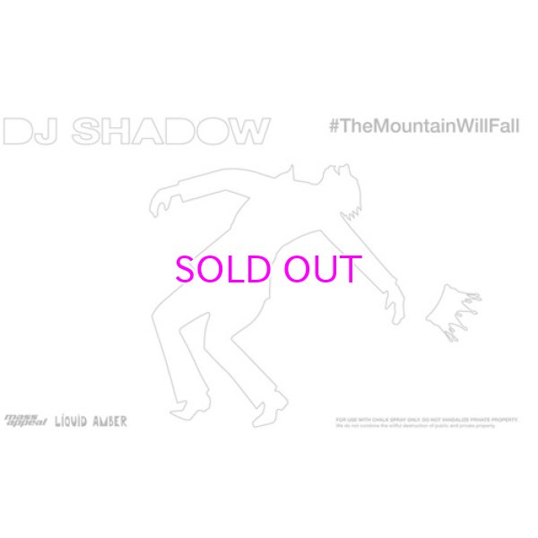 画像4: DJ SHADOW THE MOUNTAIN WILL FALL 2LP (4)