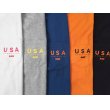 画像2: RAW USA POCKET TEE (2)