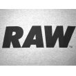 画像2: RAW LOGO PRIMARY T-SHIRT (2)