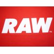 画像2: RAW LOGO PRIMARY T-SHIRT (2)