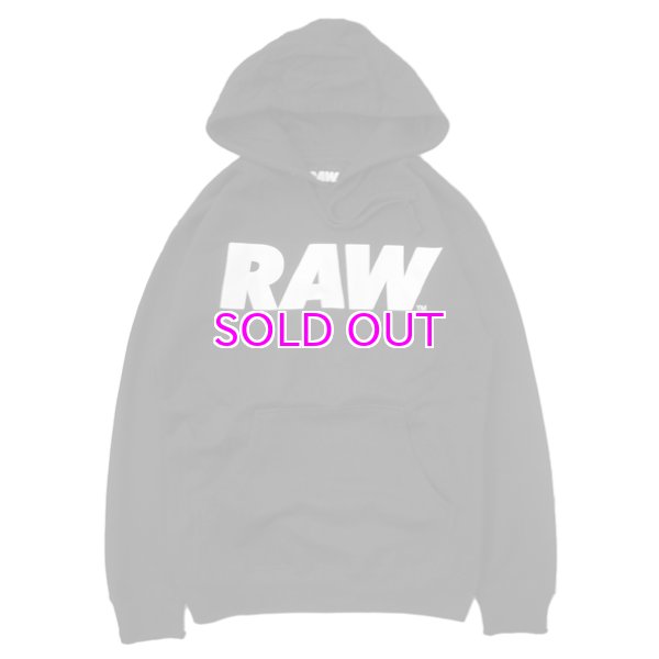 画像1: RAW LOGO PRIMARY PULLOVER (1)