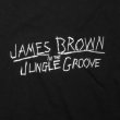 画像2: JAMES BROWN x BBP JUNGLE GROOVE TEE (2)