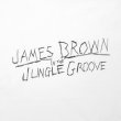 画像2: JAMES BROWN x BBP JUNGLE GROOVE TEE (2)