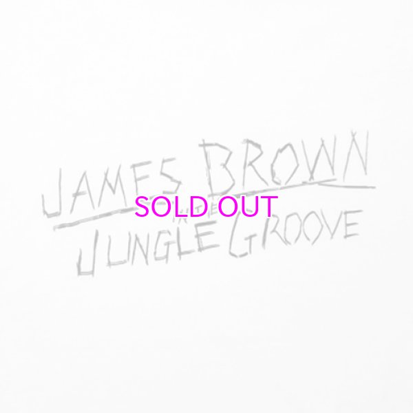 画像2: JAMES BROWN x BBP JUNGLE GROOVE TEE (2)
