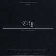 画像2: FREDDIE GIBBS, MADLIB, KARRIEM RIGGINS / CITY 45' (2)