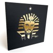 画像2: EGYPTIAN LOVER 1983-1988 4LP BOX SET+ BOOKLET (2)