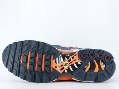 画像: NIKE AIR MAX PLUS 852630-403