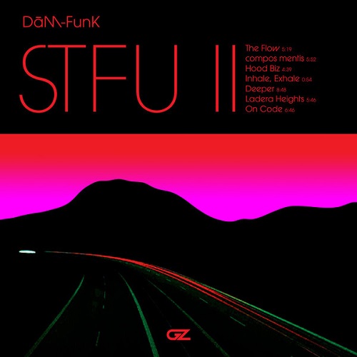 画像: DAM-FUNK / STFU II 