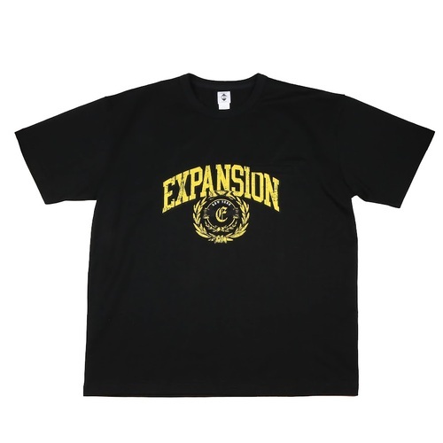 画像1: EXPANSION NY / College NY Tee (1)