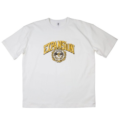 画像1: EXPANSION NY / College NY Tee (1)